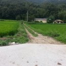 대세2농장 이미지