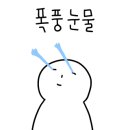 (주)플렉스코아 네이버블로그