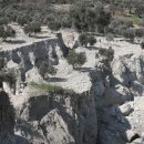 올리브 농장 이미지