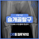 잠실베스트동물병원 수술재활센터 이미지