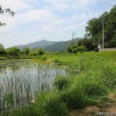 다산생태공원 이미지