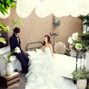 나비야 스튜디오 이미지