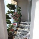 금마어린이집 이미지