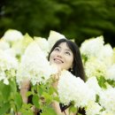 목련로 이미지