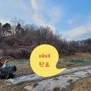 문경가축병원 이미지