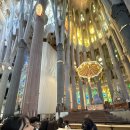 The 개편한세상 | 바르셀로나 Day 3｜가우디 투어 &amp;사그라다 파밀리아 내부 관람 후기 (탄생의 파사드)