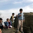 서호초교 이미지