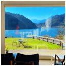 아인미술관 | 양양 대형카페 레이크지움 | 호수뷰가 압도적인 양양카페 재방문 후기