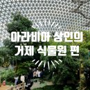 거제도 가볼 만한 곳, 아이와 함께 한 거제식물원 생생한 정글돔 후기