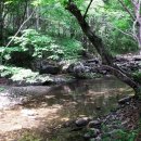 곰배령새소리 이미지