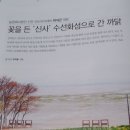 신안선도아카데미