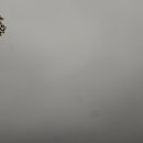 믿음,사랑,소망 이미지