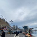 청송오토캠핑장 | 캠핑(feat. 첫 번째 글램핑, 대구 근교 청송 산소 파크 오토캠핑장, 메인은 글램핑보다 영덕대게 먹기)