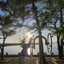 밤비노집 이미지