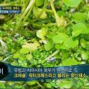 크레숑 이미지