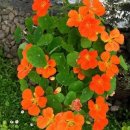 동산농원 이미지