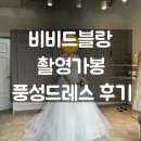 비비드블랑 촬영드레스 | 풍성드레스 (상체꽃잎, 변형O)후기