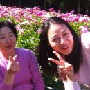 칠전농장 이미지