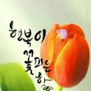 행복의료기 이미지