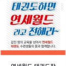 연세월드태권도 이미지