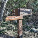 달마고도 이미지