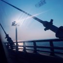 왕호종합체육관 | (거제/통영왕호MMA주짓수) 부산 리그로얄 주짓수대회 참가후기 [ 거제주짓수 / 거제격투기 / 거제...