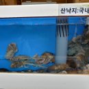 유성온천주유소 이미지