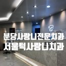 일층치과의원 | 분당사랑니 전문 서울턱사랑니치과 (비용, 스케일링, 위치, 실력, 야간진료, 진료시간)