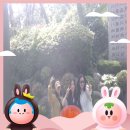 [25년 5월 1-2주차] 혼자 사부작 사부작 ..
