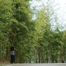 농협사거리(삼성생명) 이미지