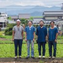 천연염색문화재단 이미지