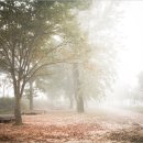 너와의 산책 이미지