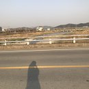 유금1리 이미지