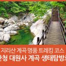 8월 정기산행 이미지