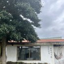모든날이행복하기를 | 제주도 서귀포 남원 애견동반 게스트하우스 모행_모든날이행복하기를 다녀온 후기