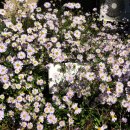 둔덕동 주민자치센터 이미지