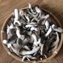 예우농장 이미지