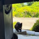 물안개피는호숫가펜션 | [경남 합천 물안개 피는 호숫가 펜션] 합천 빠지 근처 숙소 추천