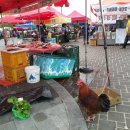 깜찍이품바공연장 이미지