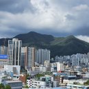 꿈마을 우성 206동 앞 | 1기 신도시 &#34;평촌 선도지구 재건축 방식&#34;, 조합 vs 신탁, 무엇이 다를까?