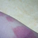 피부짱화장품 이미지