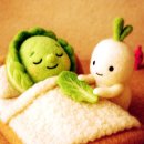 천안 예능인 노동조합 | 천안 농산물과 해남댁 영농 조합에서 정성껏 재배한 ‘해남 절임배추’로 완성한 우리 가족 김장 이야기