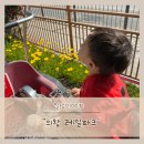 GS25 의왕호수점 | 아기랑 의왕 왕송호수공원 레일파크에서 레일바이크 타고왔어요
