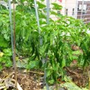 설봉경로당 이미지