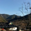 매전면사무소 이미지