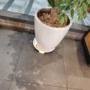 평택건물관리 카페 바닥청소 후기｜고객이 먼저 느끼는 깨끗함, 정기청소 현장