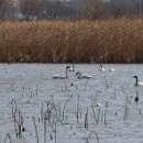 강서체육공원 이미지