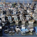 연안부두 이미지