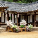 정수초교 이미지