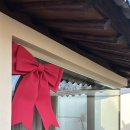 메종드시고르 이미지